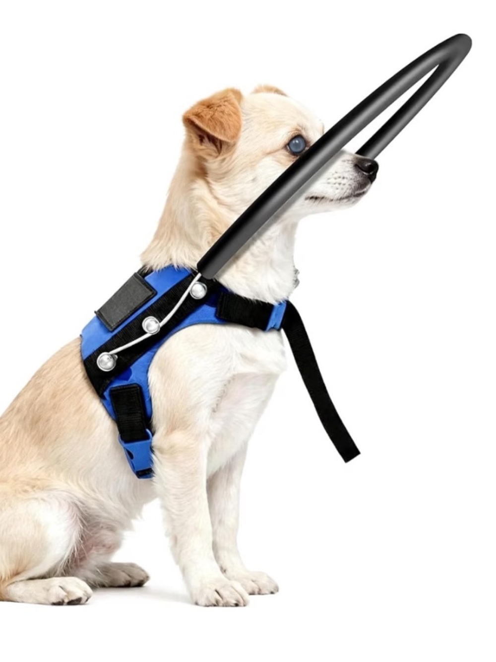 NWT Anti-Collision Halo Harness for Blind Dogs